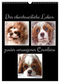 Das abenteuerliche Leben zweier verwegener Cavaliere (Wandkalender 2026 DIN A3 hoch), CALVENDO Monatskalender