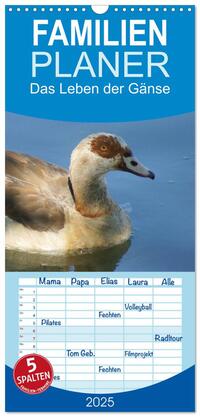 Familienplaner 2025 - Das Leben der Gänse mit 5 Spalten (Wandkalender, 21 x 45 cm) CALVENDO