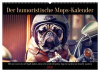Der humoristische Mops-Kalender (Wandkalender 2026 DIN A2 quer), CALVENDO Monatskalender