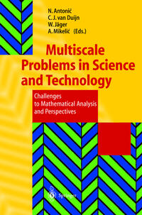Multiscale Problems in Science and Technology