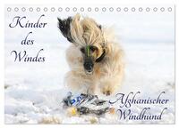 Kinder des Windes - Afghanischer Windhund (Tischkalender 2025 DIN A5 quer), CALVENDO Monatskalender