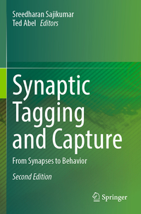 Synaptic Tagging and Capture