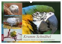 Krumm Schnäbel - Papageien, Sittiche und andere Krumm Schnäbel (Wandkalender 2025 DIN A3 quer), CALVENDO Monatskalender