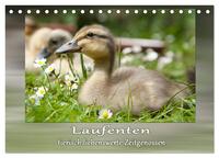 Laufenten - tierisch liebenswerte Zeitgenossen (Tischkalender 2025 DIN A5 quer), CALVENDO Monatskalender