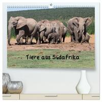 Tiere aus Südafrika (hochwertiger Premium Wandkalender 2025 DIN A2 quer), Kunstdruck in Hochglanz
