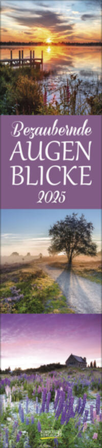 Vorderes Coverbild Augenblicke Langplaner 2025