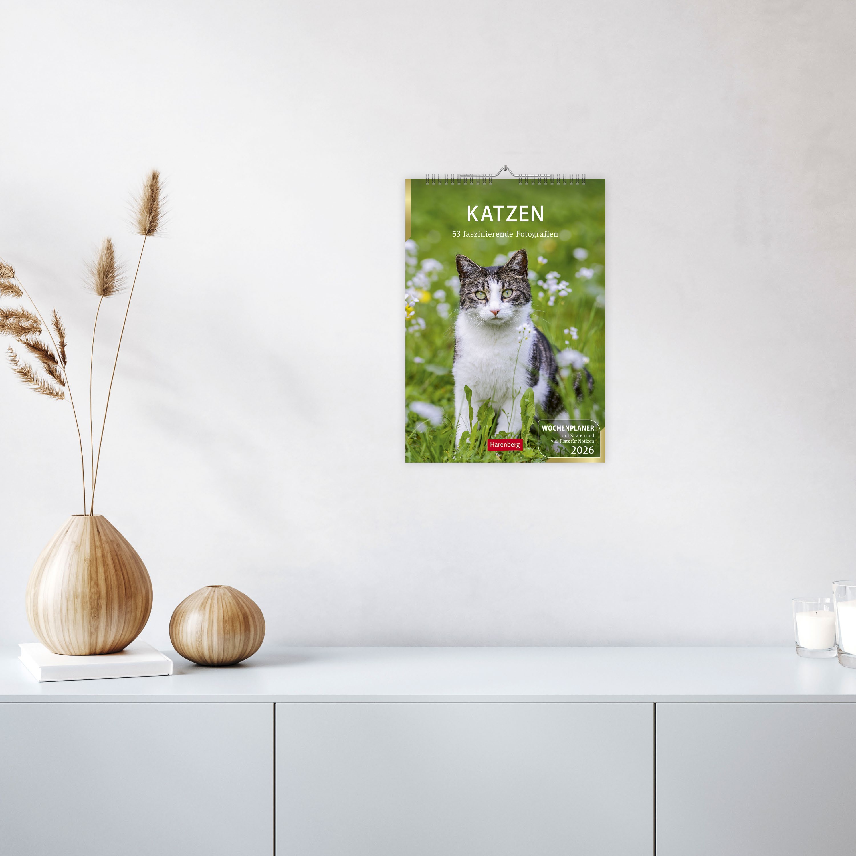 Katzen Wochenplaner 2026 - 53 faszinierende Fotografien