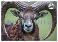 Emotionale Momente: Muffelwild. (Wandkalender 2026 DIN A2 quer), CALVENDO Monatskalender