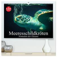 Meeresschildkröten. Nomaden der Ozeane (hochwertiger Premium Wandkalender 2025 DIN A2 quer), Kunstdruck in Hochglanz