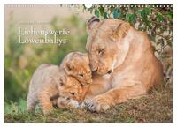 Emotionale Momente: Liebenswerte Löwenbabys (Wandkalender 2025 DIN A3 quer), CALVENDO Monatskalender