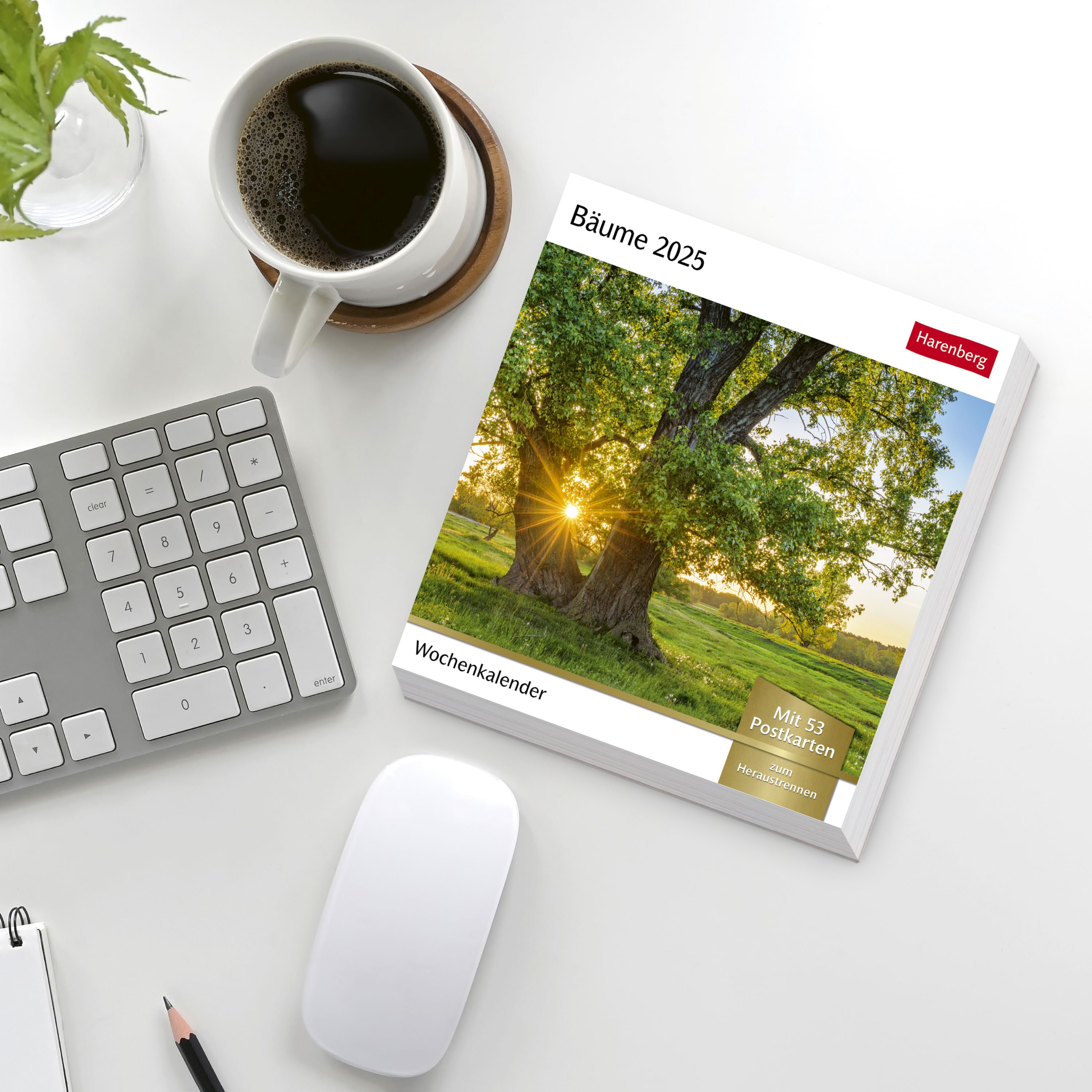 Bäume Postkartenkalender 2025 - Wochenkalender mit 53 Postkarten