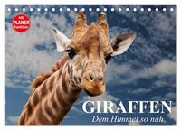 Giraffen. Dem Himmel so nah (Tischkalender 2025 DIN A5 quer), CALVENDO Monatskalender