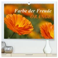 Vorderes Coverbild ORANGE – Farbe der Freude (hochwertiger Premium Wandkalender 2025 DIN A2 quer), Kunstdruck in Hochglanz