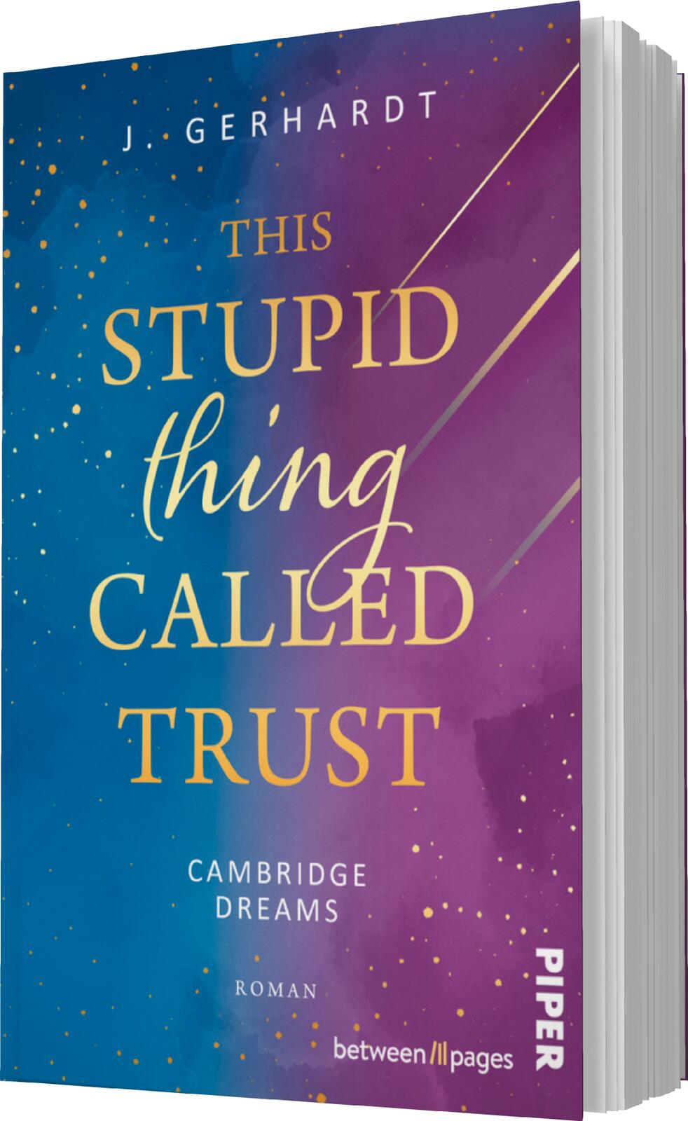 This Stupid Thing Called Trust