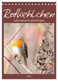 Rotkehlchen, süße kleine Knutschkugeln (Tischkalender 2025 DIN A5 hoch), CALVENDO Monatskalender