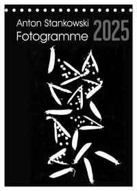Anton Stankowski Fotogramme (Tischkalender 2025 DIN A5 hoch), CALVENDO Monatskalender