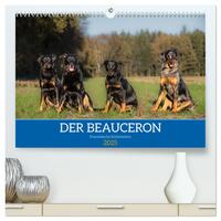 Der Beauceron (hochwertiger Premium Wandkalender 2025 DIN A2 quer), Kunstdruck in Hochglanz
