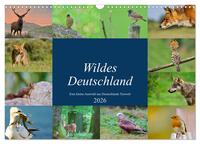 Wildes Deutschland (Wandkalender 2026 DIN A3 quer), CALVENDO Monatskalender