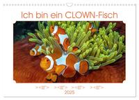 Ich bin ein CLOWN-Fisch (Wandkalender 2025 DIN A3 quer), CALVENDO Monatskalender