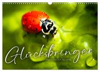 Glücksbringer - Dem Glück auf der Spur. (Wandkalender 2026 DIN A3 quer), CALVENDO Monatskalender