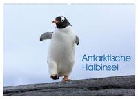 Antarktische Halbinsel (Wandkalender 2026 DIN A2 quer), CALVENDO Monatskalender