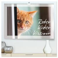Roter Kater Kasimir (hochwertiger Premium Wandkalender 2025 DIN A2 quer), Kunstdruck in Hochglanz