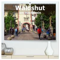 Waldshut am Hochrhein (hochwertiger Premium Wandkalender 2025 DIN A2 quer), Kunstdruck in Hochglanz