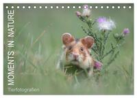 Moments in Nature (Tischkalender 2025 DIN A5 quer), CALVENDO Monatskalender