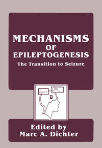 Mechanisms of Epileptogenesis