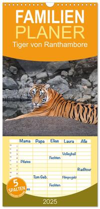 Familienplaner 2025 - Tiger von Ranthambore mit 5 Spalten (Wandkalender, 21 x 45 cm) CALVENDO