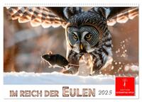 Im Reich der Eulen (Wandkalender 2025 DIN A2 quer), CALVENDO Monatskalender