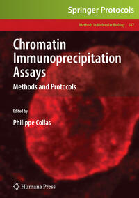 Chromatin Immunoprecipitation Assays