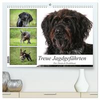 Treue Jagdgefährten - Der Deutsch Drahthaar (hochwertiger Premium Wandkalender 2025 DIN A2 quer), Kunstdruck in Hochglanz