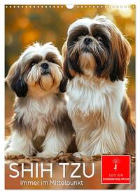 Shih Tzu - immer im Mittelpunkt (Wandkalender 2025 DIN A3 hoch), CALVENDO Monatskalender