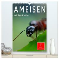 Ameisen quirlige Arbeiter (hochwertiger Premium Wandkalender 2025 DIN A2 hoch), Kunstdruck in Hochglanz