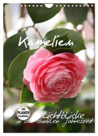 Kamelien Lichtblicke in der dunklen Jahreszeit (Wandkalender 2026 DIN A4 hoch), CALVENDO Monatskalender