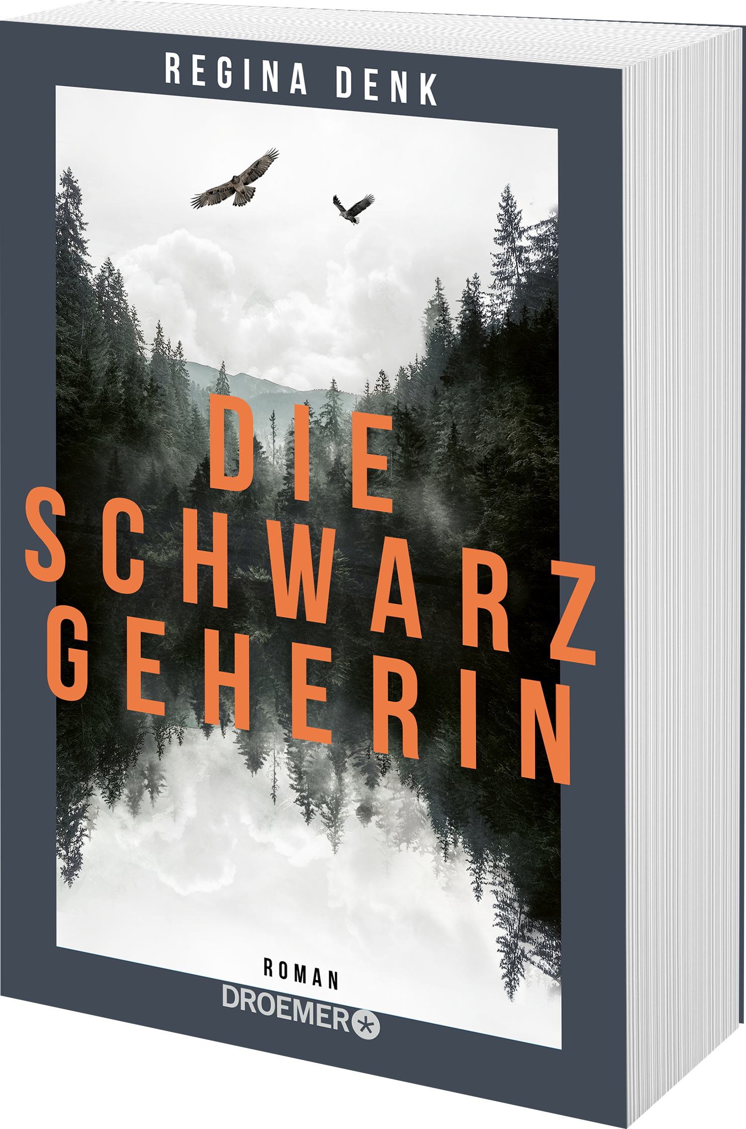 Die Schwarzgeherin