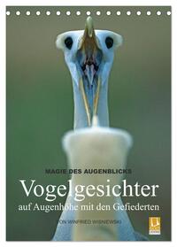 Magie des Augenblicks - Vogelgesichter - auf Augenhöhe mit den Gefiederten (Tischkalender 2025 DIN A5 hoch), CALVENDO Monatskalender
