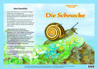 Natur-Kamishibai / Die Schnecke - Natur-Kamishibai
