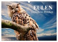Eulen. Gefiederte Weisheit (Wandkalender 2025 DIN A3 quer), CALVENDO Monatskalender