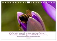 Schau mal genauer hin ... Detailfotografie aus unserer wunderschönen Natur (Wandkalender 2025 DIN A4 quer), CALVENDO Monatskalender