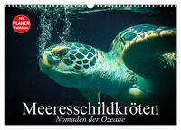 Meeresschildkröten. Nomaden der Ozeane (Wandkalender 2025 DIN A3 quer), CALVENDO Monatskalender