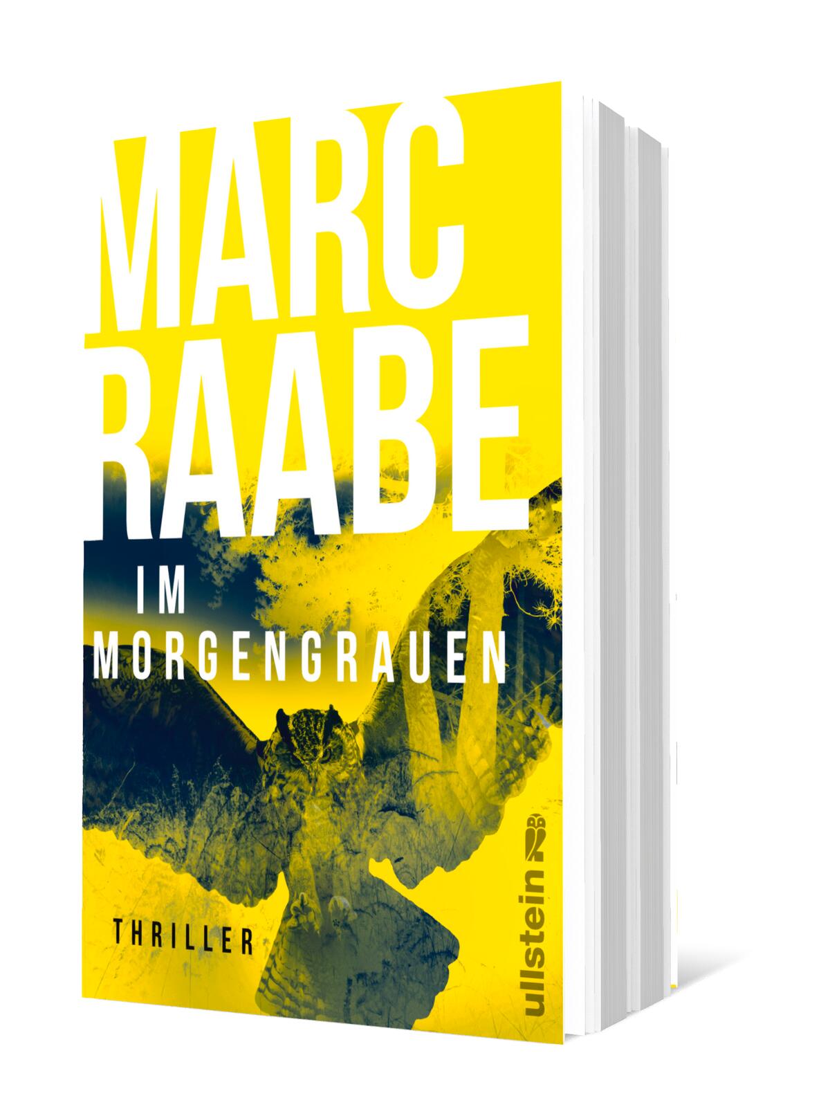 Im Morgengrauen (Art Mayer-Serie 4)