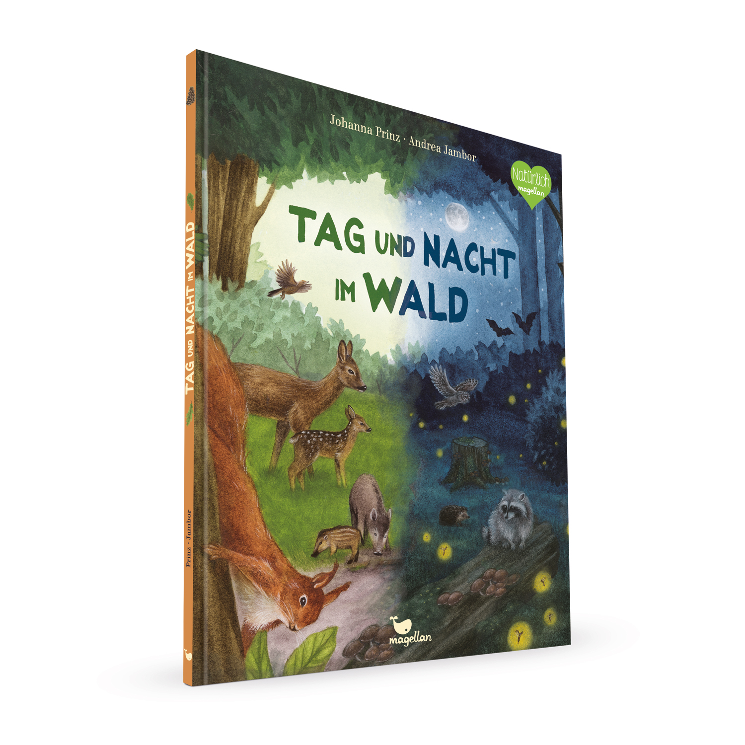 Tag und Nacht im Wald