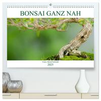 Vorderes Coverbild Bonsai ganz nah (hochwertiger Premium Wandkalender 2025 DIN A2 quer), Kunstdruck in Hochglanz