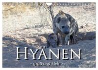 Hyänen - groß und klein (Wandkalender 2025 DIN A4 quer), CALVENDO Monatskalender