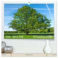 Vorderes Coverbild Die Buche: 12 Baumporträts (hochwertiger Premium Wandkalender 2025 DIN A2 quer), Kunstdruck in Hochglanz