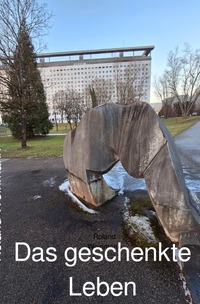 Vorderes Coverbild Das geschenkte Leben