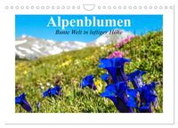 Alpenblumen. Bunte Welt in luftiger Höhe (Wandkalender 2026 DIN A4 quer), CALVENDO Monatskalender