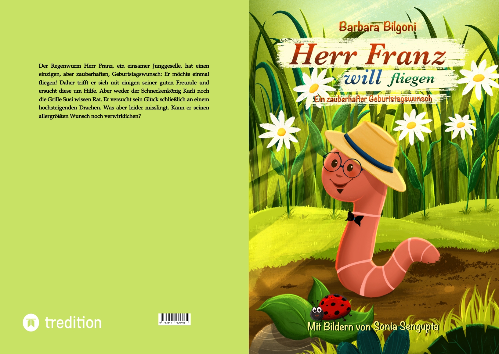 Gesamtes Coverbild Herr Franz will fliegen